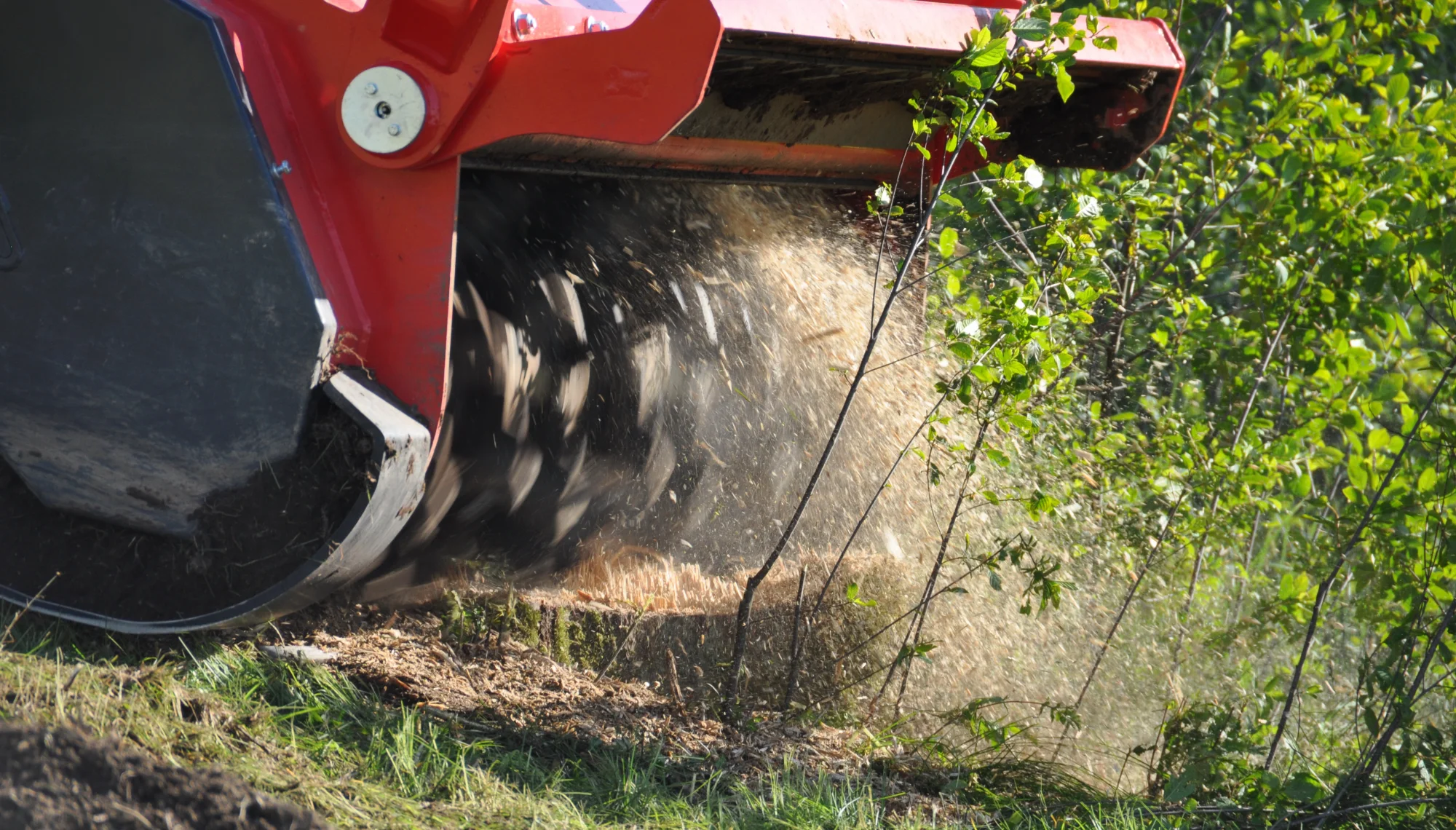 Grizzly M650m - Triturador Florestal Desbastador Controle